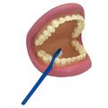 Oruga Flexible Mouth Puppet OR295068